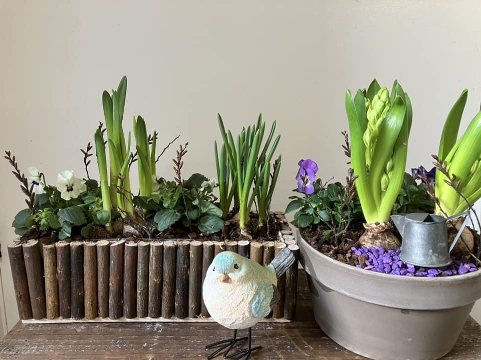 Udendørs arrangement